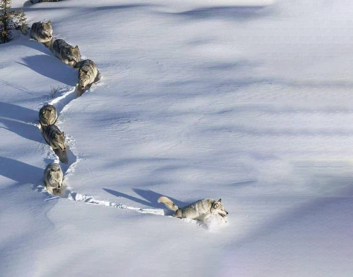 Về chuyện mở đường