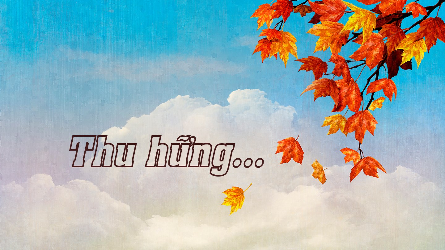 Thu hững…